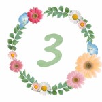 3