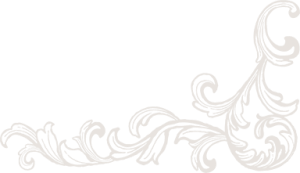 top_bg002