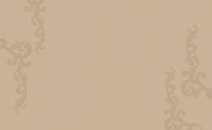 top_bg003